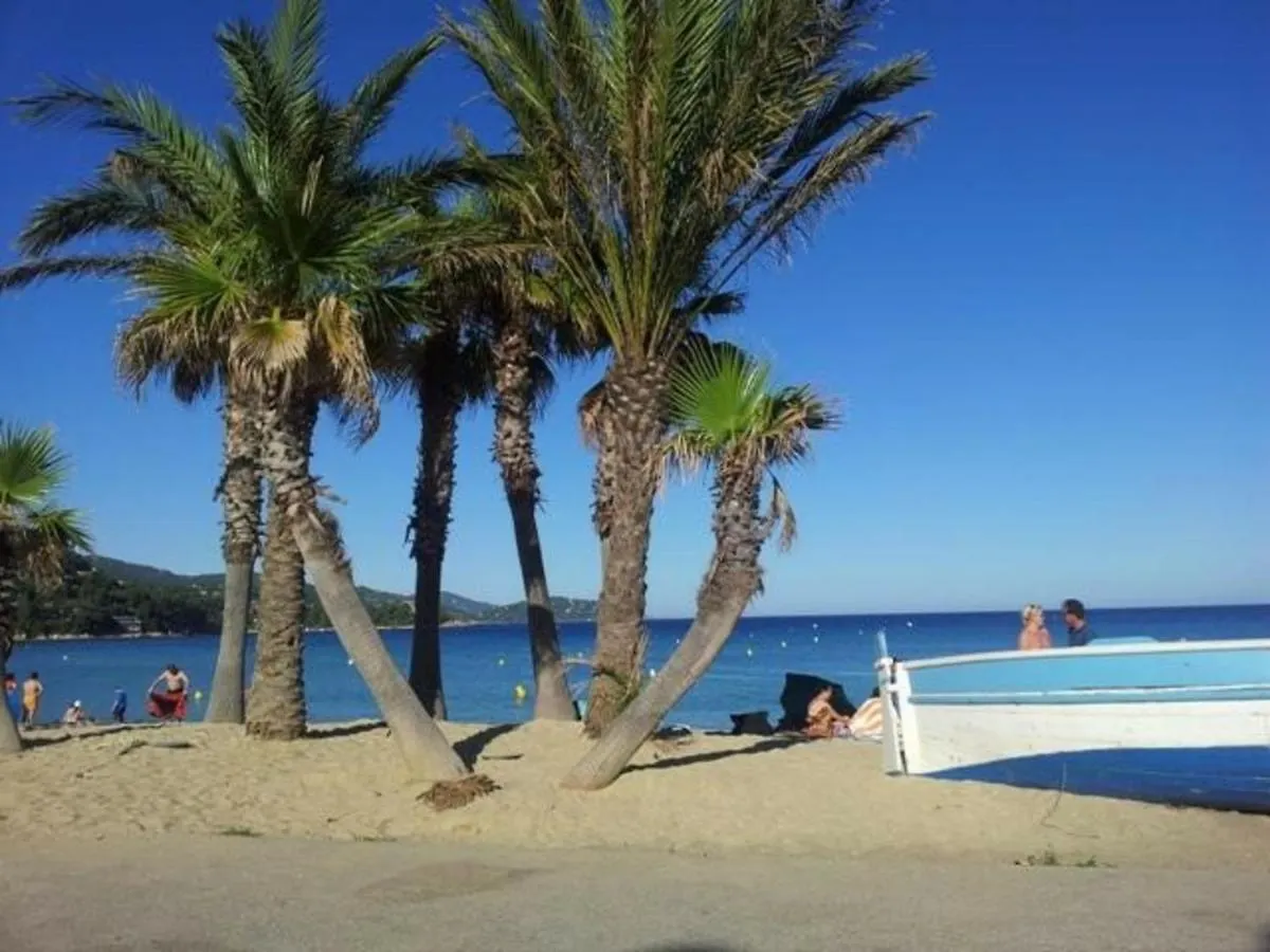 Studio Avec Coin Nuit, Parking, Proche Plage - Le Lavandou - Fr-1-251-50 Lägenhet